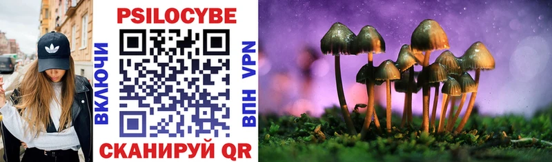 omg ссылки  Енисейск  Псилоцибиновые грибы Cubensis 